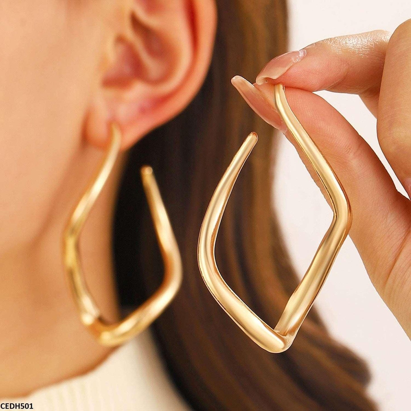 CEDH501 QWN Stainless Steel Earrings